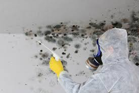 Best Asbestos and Lead Testing During Mold Inspection  in Wellsville, KS